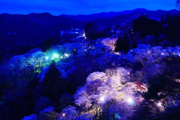 吉野山, 桜, ライトアップ, 奈良
