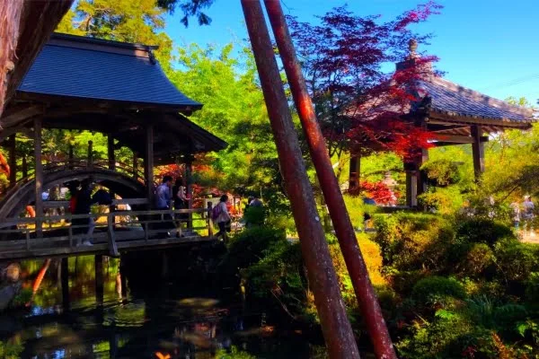 兵庫県丹波市 心字池に架かる太鼓橋が美しい天台宗の古刹である白毫寺