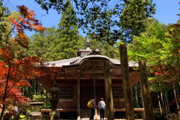 兵庫県丹波市 御本尊の秘仏である薬師瑠璃光如来像が安置されている白毫寺の薬師堂