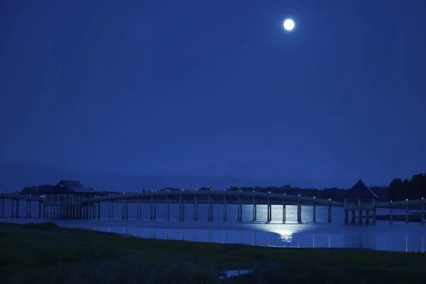 夜の鶴の舞橋