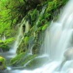 元滝伏流水｜苔の緑と白い水しぶきのコントラストが美しい鳥海山麓の湧き水
