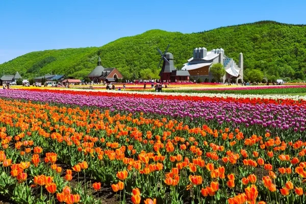 北海道・上湧別町のかみゆうべつチューリップ公園