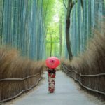 竹林の道｜京都・嵐山の風情あふれる人気スポット！見頃・ライトアップ・アクセス・駐車場は？