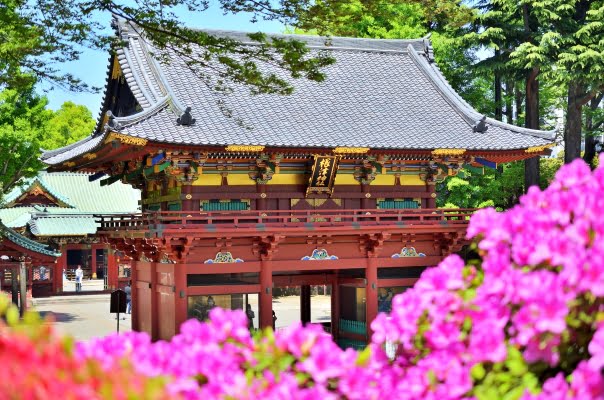 東京・根津神社