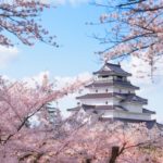 鶴ヶ城（会津若松城）｜国内唯一の赤瓦の名城を彩る桜