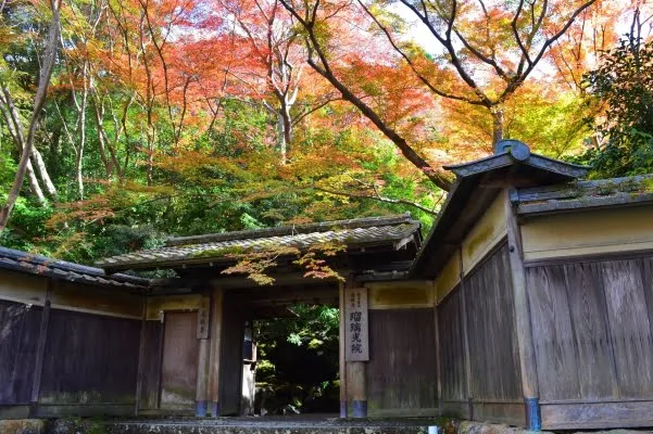 京都・瑠璃光院の紅葉