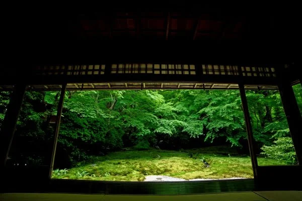 京都・瑠璃光院の池泉式庭園「臥竜の庭」