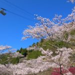 別府ロープウェイ｜CNN「日本の最も美しい場所36選」に選ばれた鶴見岳の絶景！見頃・アクセス・駐車場は？