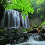 達沢不動滝｜ブナの原生林に囲まれた不動尊を祀る会津の名瀑