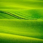 モラヴィア大草原（Moravian Tuscany）｜ 見どころ・基本情報・アクセスは？どこまでも続く緑の絨毯