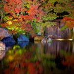 好古園｜世界遺産「姫路城」を借景にした日本庭園