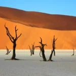 ナミブ砂漠・デッドフレイ（世界遺産）｜ 見どころ・基本情報・アクセスは？オレンジの巨大な砂漠と死の谷