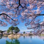 【長野・伊那】六道の堤｜水面に映り込む桜と残雪のアルプスが美しい桜の名所！見頃・アクセス・駐車場は？