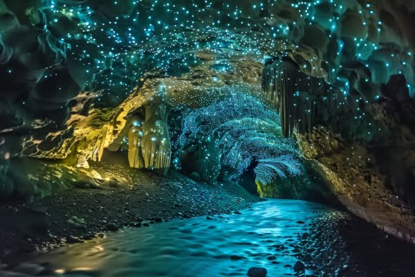 Waitomo Glowworm Caves, New Zealand, ワイトモ・グロウワーム洞窟, ニュージーランド