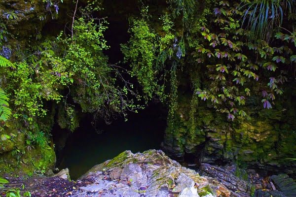Waitomo Glowworm Caves, New Zealand, ワイトモ・グロウワーム洞窟, ニュージーランド
