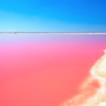 ピンク・ラグーン｜メキシコ・ユカタン半島の青空に映えるピンクの湖