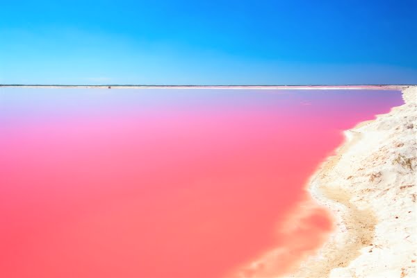 Pink Lake, Pink Lagoon