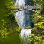 【オレゴン】マルトノマ滝（Multnomah Falls）｜コロンビア川峡谷の美しい滝！見どころ・アクセスは？