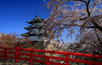 弘前城・弘前公園の桜