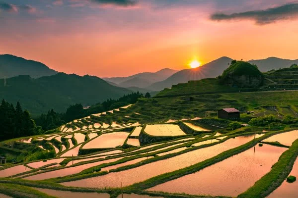 三重・熊野市の丸山千枚田