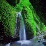 【但馬】シワガラの滝｜苔むす洞窟に流れ落ちる神秘の滝！見どころ・アクセス・駐車場は？