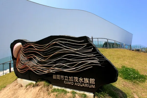 鶴岡市立加茂水族館