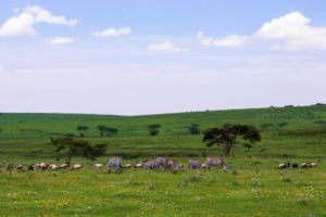Ngorongoro, Tanzania