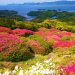 長串山公園｜10万本のツツジの絨毯と北九十九島の絶景
