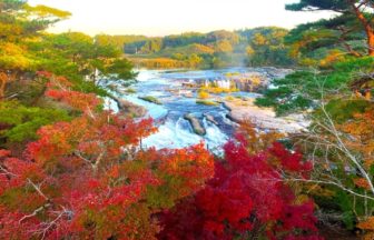 曽木の滝, 鹿児島, 紅葉