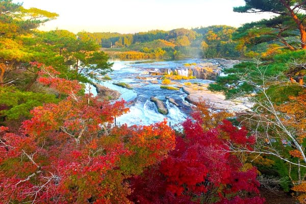 曽木の滝, 鹿児島, 紅葉
