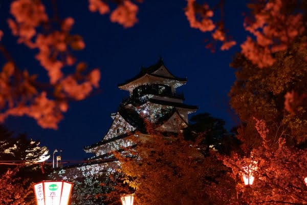 高知城, 桜