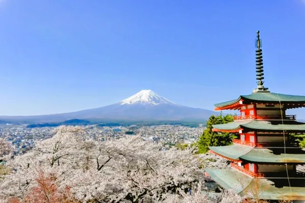 富士山と新倉山浅間公園・忠霊塔と桜