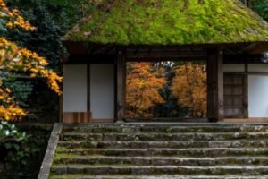 法然院, 京都, 紅葉