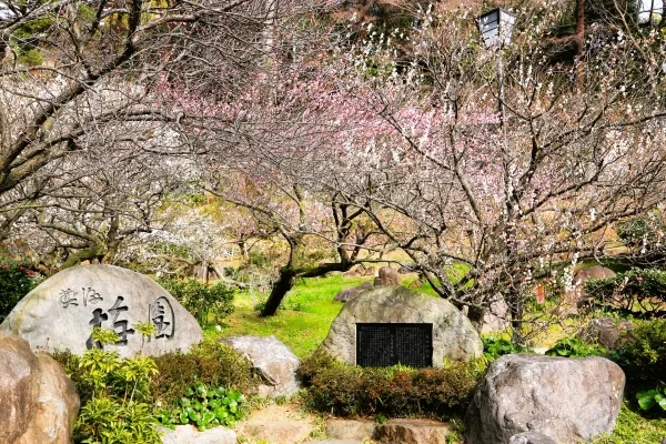 静岡・熱海梅園