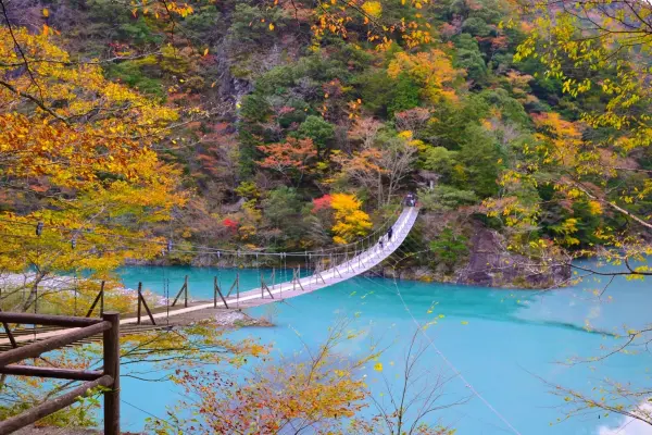 静岡・寸又峡「夢のつり橋」の紅葉