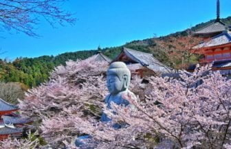 奈良, 桜, 壷阪寺