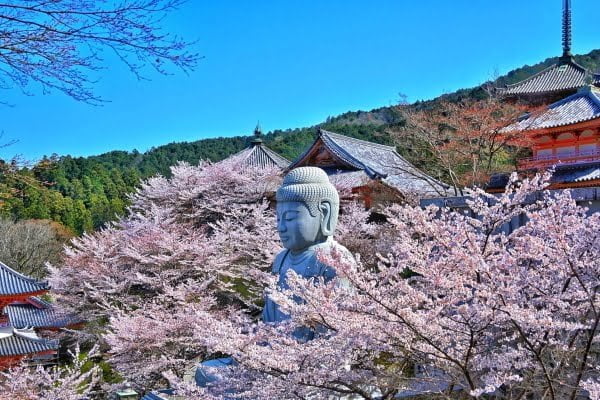 奈良, 桜, 壷阪寺