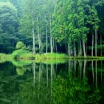 龍王ヶ渕（龍王ヶ淵）｜奈良の山間にひっそりと佇む「水鏡」が美しい池！見どころ・アクセス・駐車場は？