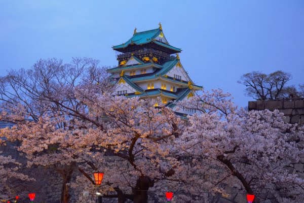 大阪, 大阪城の桜