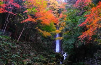 養老の滝, 紅葉, 岐阜