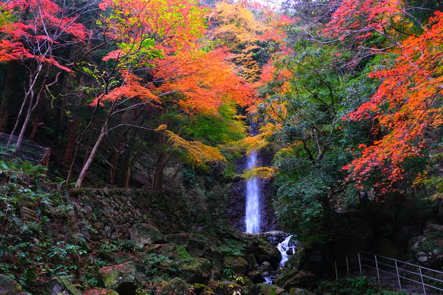 養老の滝, 紅葉, 岐阜