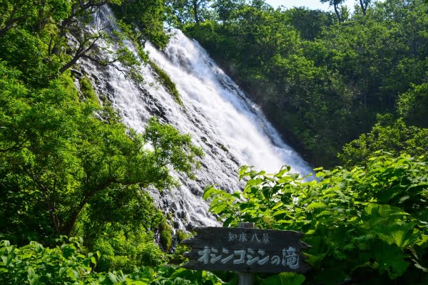 北海道, 知床, オシンコシンの滝