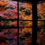 瑠璃光院, 紅葉, 京都