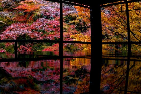 瑠璃光院, 紅葉, 京都