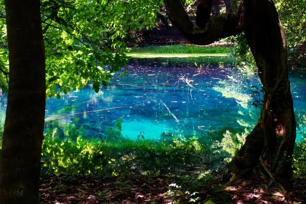 山形・遊佐町の丸池様