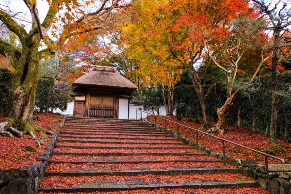 京都, 安国寺, 紅葉