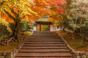 安楽寺, 京都, 紅葉