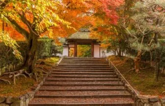 京都・安楽寺の紅葉