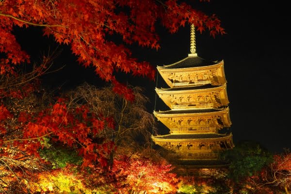 京都, 東寺, 紅葉ライトアップ