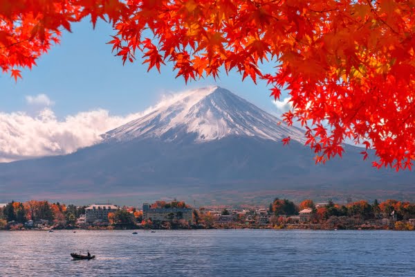 富士河口湖紅葉まつり, もみじトンネル, 山梨